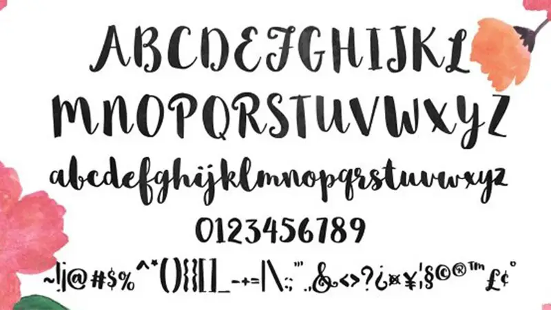 Sophia Font Family Download