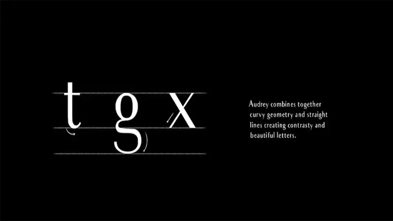 Audrey Font Family Download