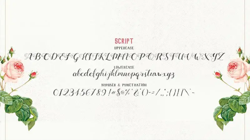 Mightype Font Free Download