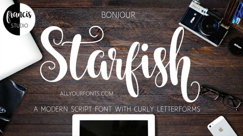 Starfish Font Family Free Download