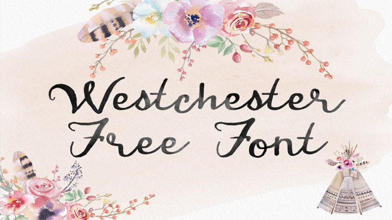 Westchester Font Family Download