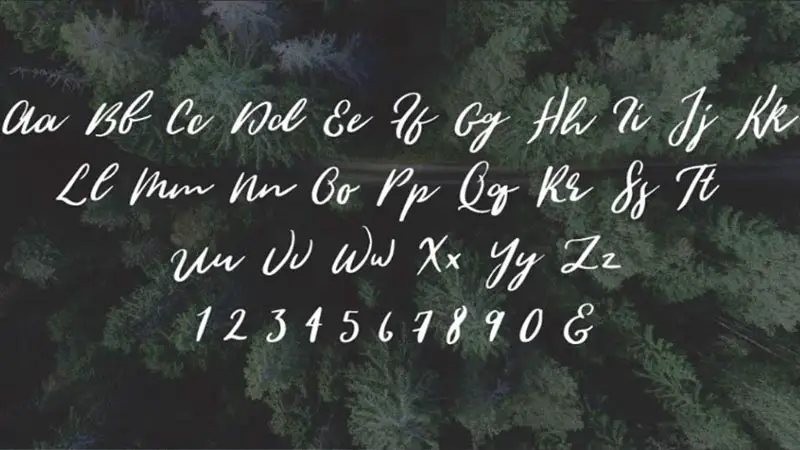 Wild Youth Font Family Download