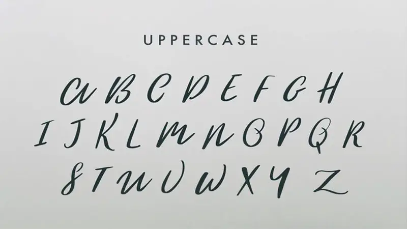 Woodlands Font Family Download