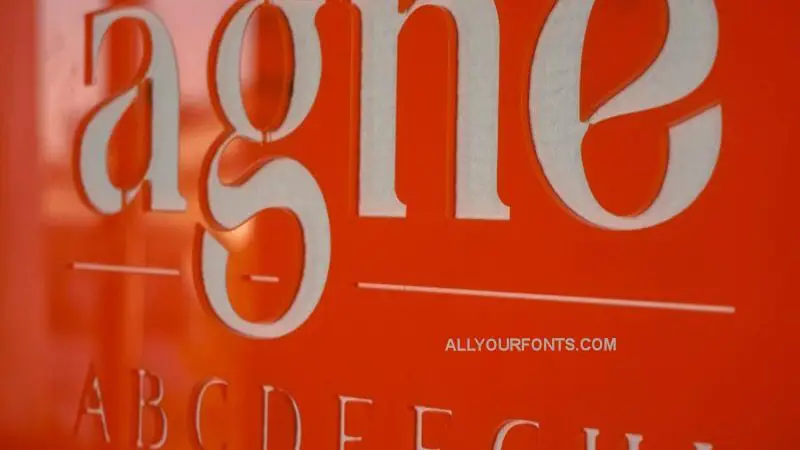 Agne Font Family Free Download