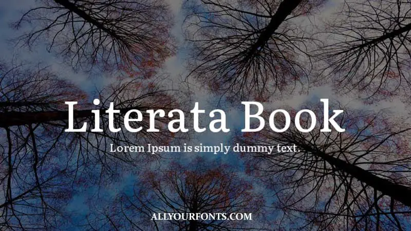 Literata Font Family Free Download