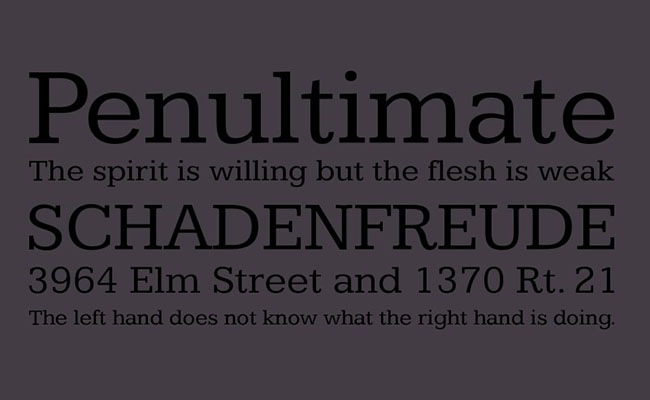 Kameron Font Family Download