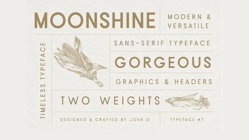 Moonshine Font Family Download