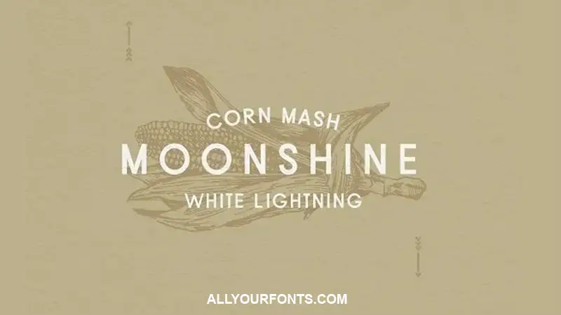 Moonshine Font Family Free Download