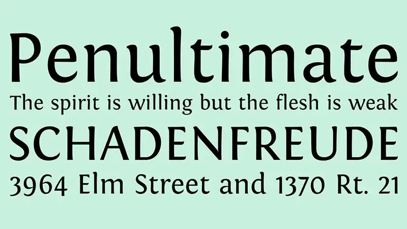 Fontin Font Family Download