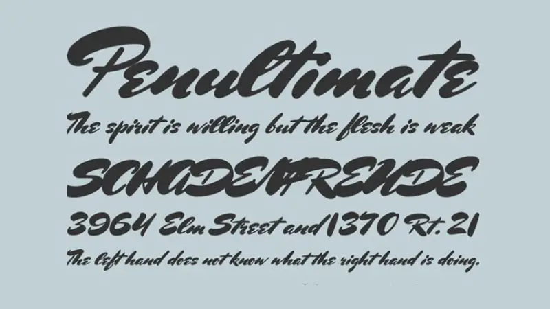 Mrs Sheppards Font Family Download