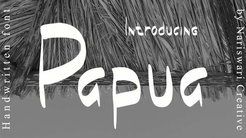 Papua Font Family Free Download