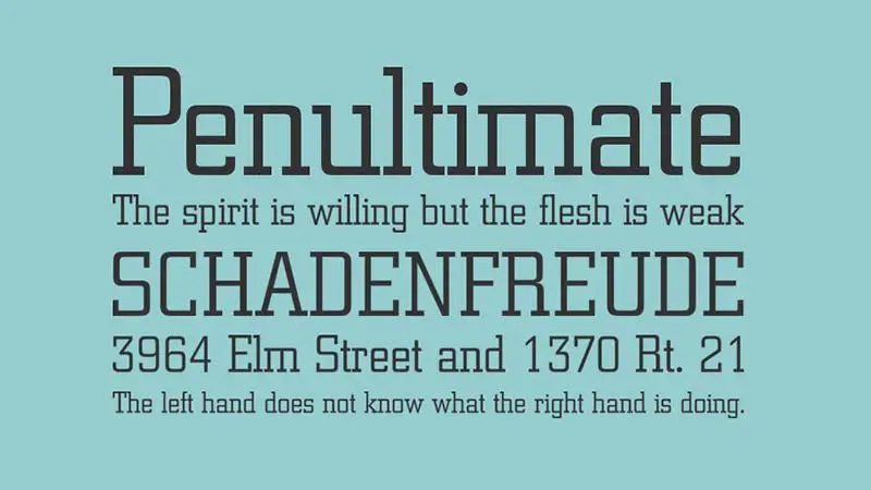Berthold City Font Family Download