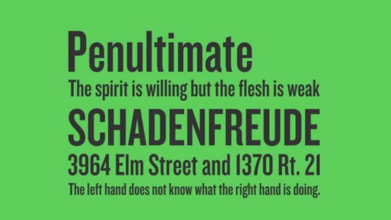 Knockout Font Free Download - All Your Fonts