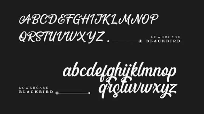Blackbird Font Family Download