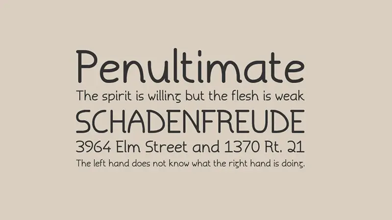 Torid Font Family Download